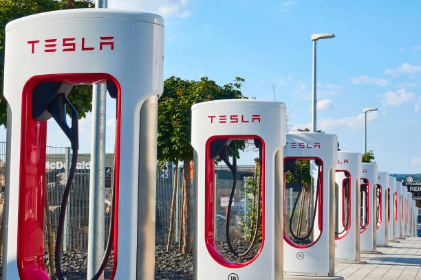 Tesla Stock: Can the EV Giant Maintain its Momentum in 2024?