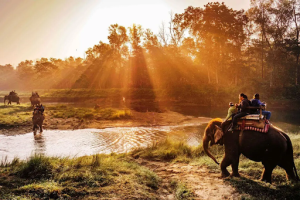Chitwan National Park