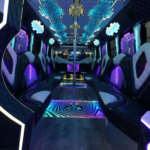 Party Bus Rental in Chicago