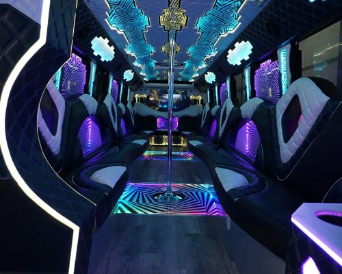 Party Bus Rental in Chicago