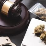 Knoxville attorneys